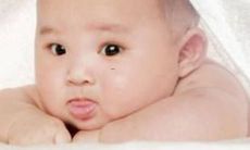 男孩名字带木字