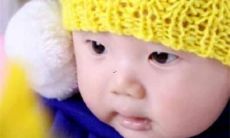 乌龟好听的名字大全