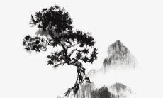 郑姓好听稀少的女孩名字缺金