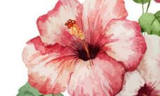 姓范男孩子取名宝典 名字喜用字