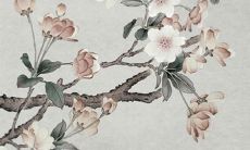 好听的服装名字