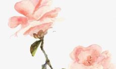 公司取名字参考大全免费