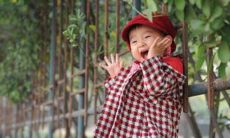 属虎今年交运忌什么属相