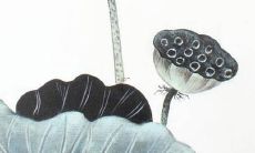 花什么汐女孩名字三个字古风