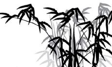 张取名字大全男女孩