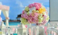 做事堂堂正正从不遮遮掩掩的五大星座