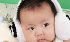 2022年1月出生的猪宝宝取名