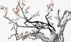 樊露女孩子名字