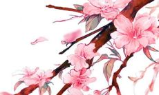 晴字和什么字搭配好听 五行取女宝宝名字