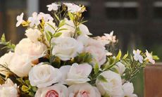 双子巨蟹48星座