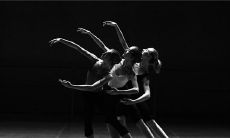 舞蹈学校名字大全