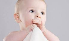 属虎带什么偏旁的字好