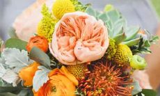 该坚定的时候从来不会后退的五大星座