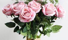 手机明明没坏 这些星座却总想着要换新手机