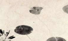 女孩起名带木字旁 女孩名字怎么起