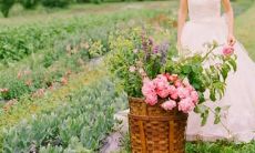 第一网星座运势 百度