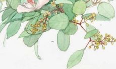 莲字后面加什么好听 女孩吉利五行名字推荐