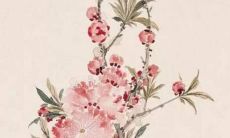 好听女孩名字虎宝宝