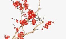 起名字2022免费八字起名男孩