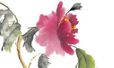 女孩名字叫辰辰怎么样啊