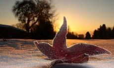 好听有涵养的沛字女孩名字 沛字最搭有气质的女孩名字