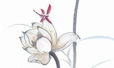 虎年男孩取什么名字好