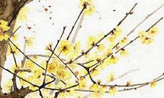 名字带锦的字男孩