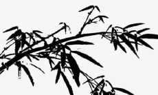 五行属火的女孩宜用字 有寓意名字