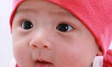 适宜属牛带草字头的男孩名字 木属性男名精选