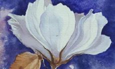 属虎的人注册公司取什么字最好