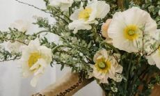 喜欢把话说反不能正确表达的星座