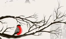 杨姓女孩名字清新脱俗