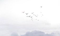 虎宝名字里带屹字怎么样