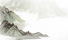 2022年属虎女孩小名