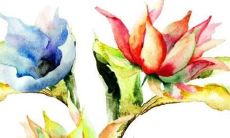 女孩子的名字里带木字旁