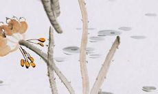 取名有晏字有什么寓意 代表安定