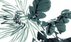 欣诺女孩名字什么含义