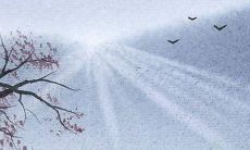 女孩起名三点水的字有哪些