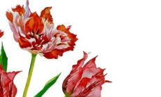 奇字取名的寓意男孩 男宝宝名字大全