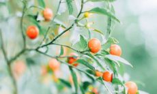 2020年农历五月十四日出生的男孩八字起名 好名字取名大全