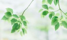 2020年五月十六日小暑出生的男孩如何取名？男宝宝起名字大全