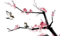 涵韵女孩名字的含义是什么