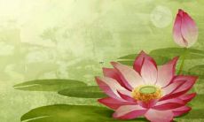 属牛的女宝宝取名洋气 寓意深远的牛宝宝好名