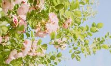 2020年农历五月二十七日出生的男孩好名字推荐大全