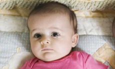 宠物店好听名字 取名原则和独特好名