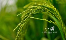 2020双闰年·小满四月廿八出生男孩霸气独一无二起名！