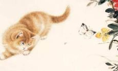 川字和什么字搭配好听 男生名字大全