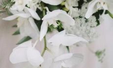 错事做的太多 这些星座已经没了性子