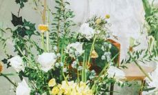 农历出生星座查询