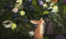 希腊神话关于星座